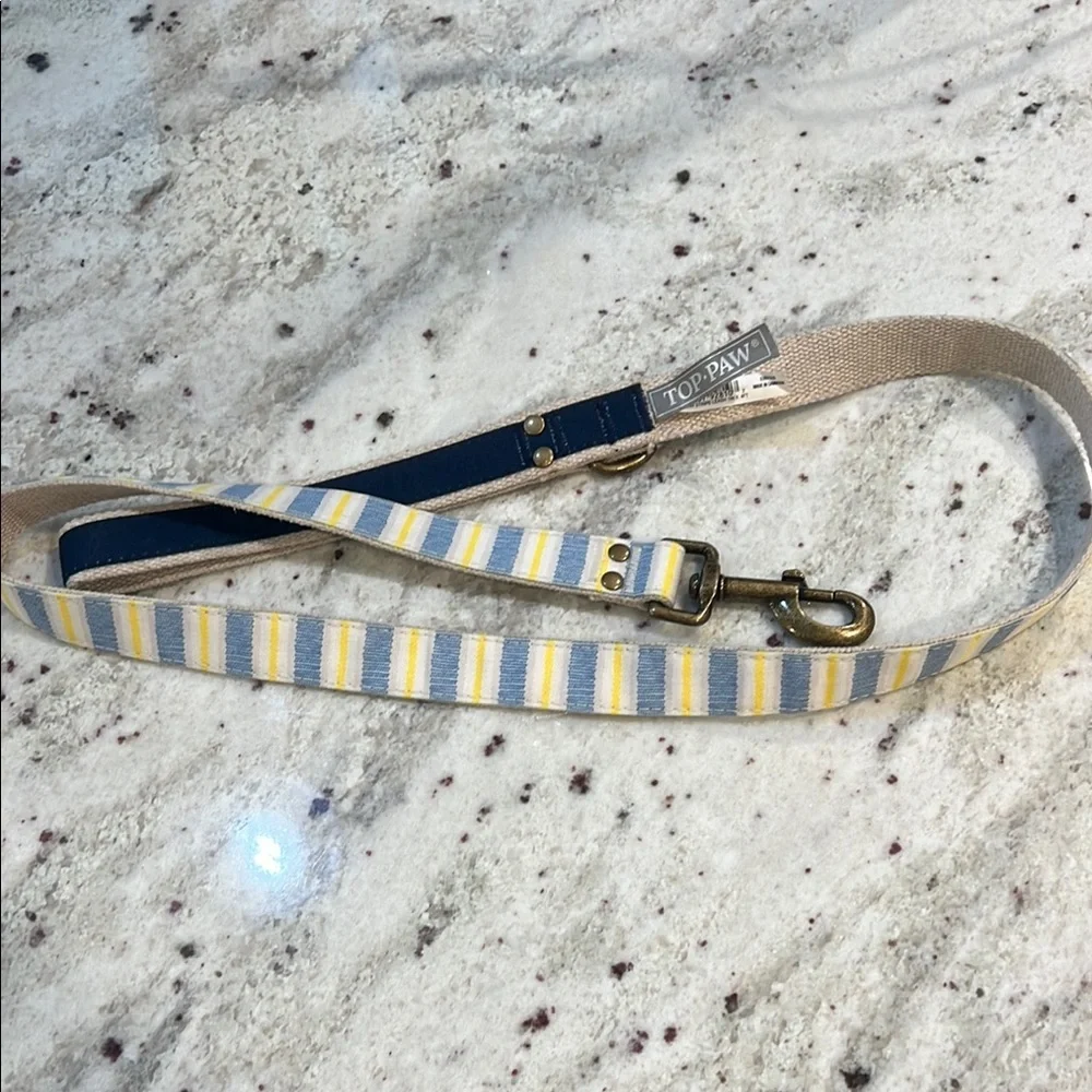 Top Paw Blue and Yellow Striped Dog Leash 4FT